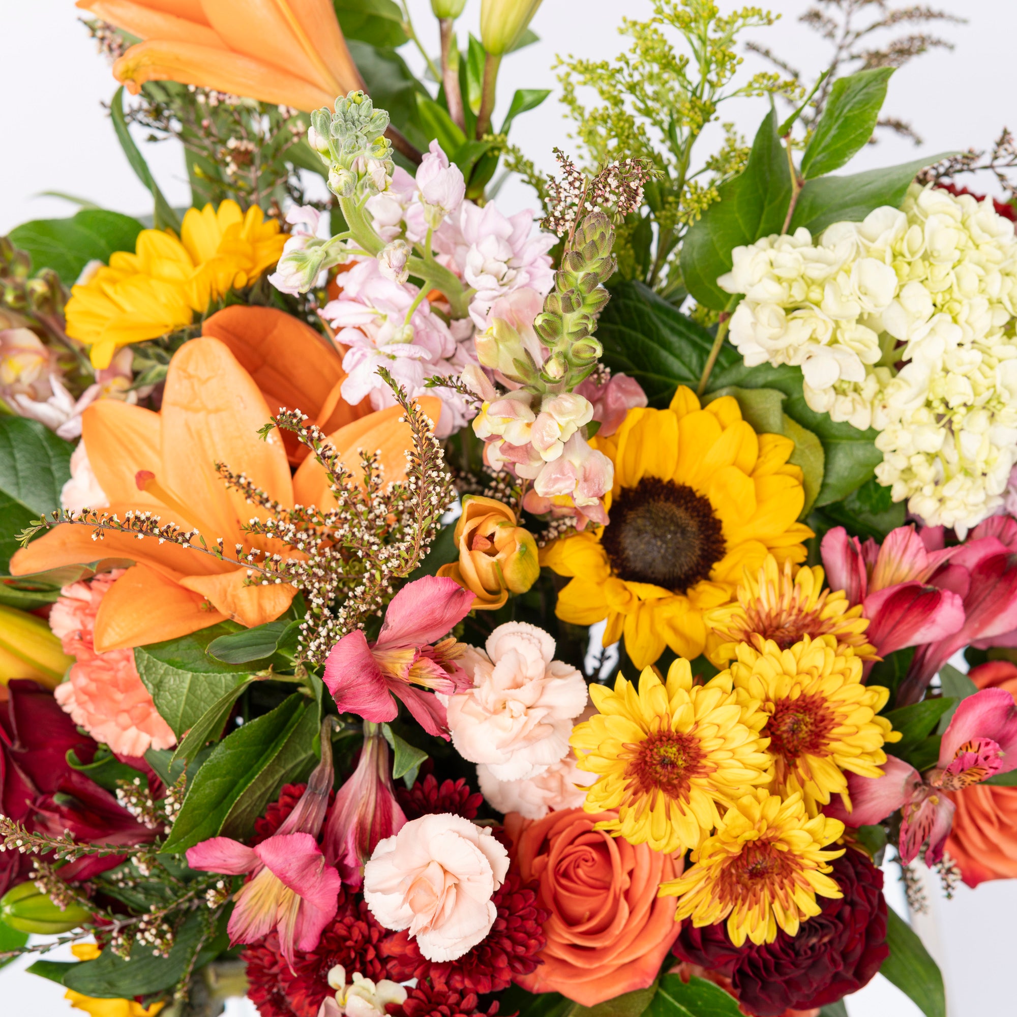 Celebration Blooms